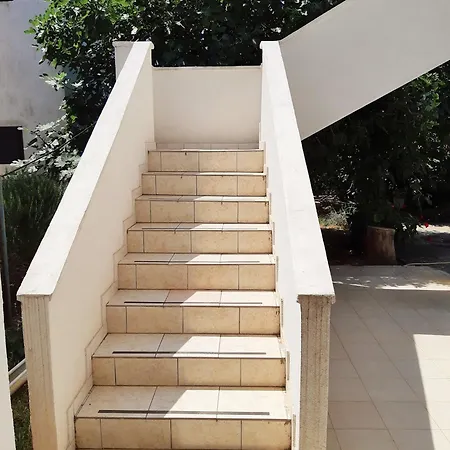 Appartamento Dalmatino *