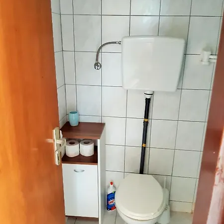Dalmatino *