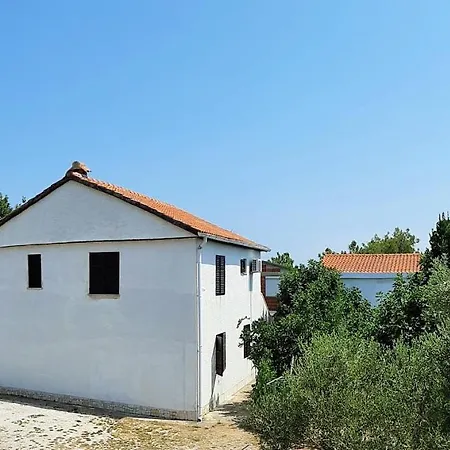 Dalmatino *